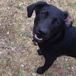 Meet your Posher, Moxie